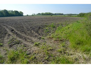 Property photo 62 - LAND AUCTION - 215+/- ACRES OFFERED IN 6 TRACTS IN VAN WERT COUNTY, OHIO
